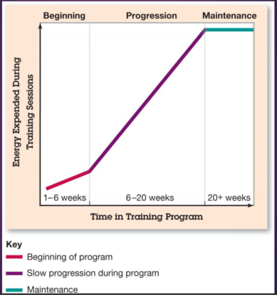 Pinciple of Progression chart