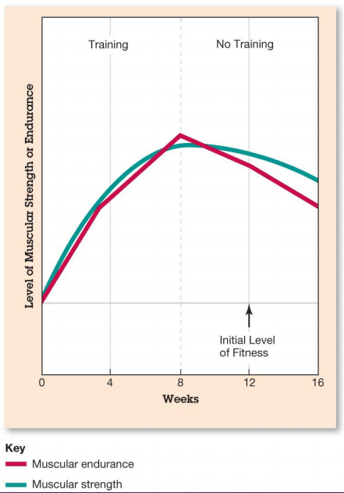 Principle of reversibility chart.png